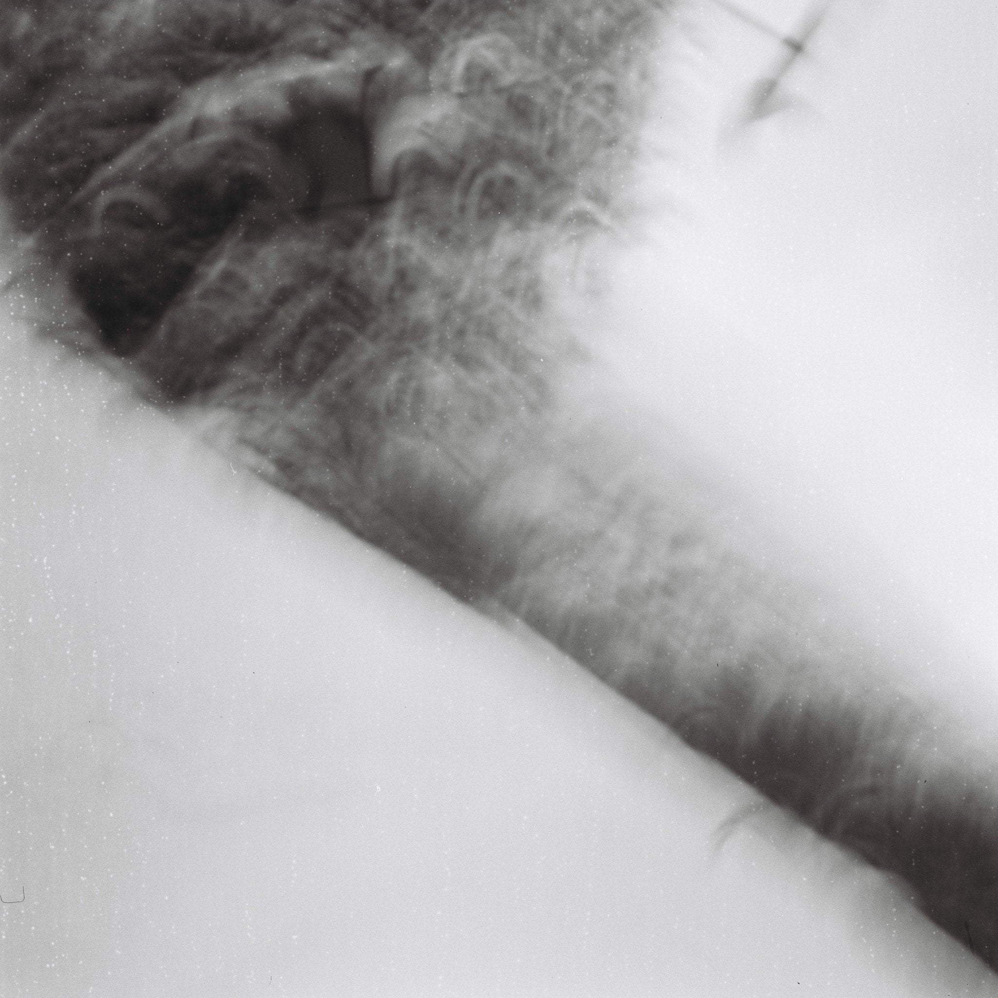 『Between』 - PHOTOPRI【写真展・美術展品質のプリントサービス】