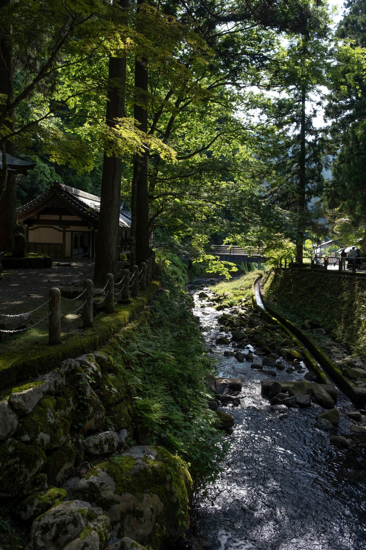 夏の思い出を、もっと特別な一枚に。 この夏おすすめの用紙特集!