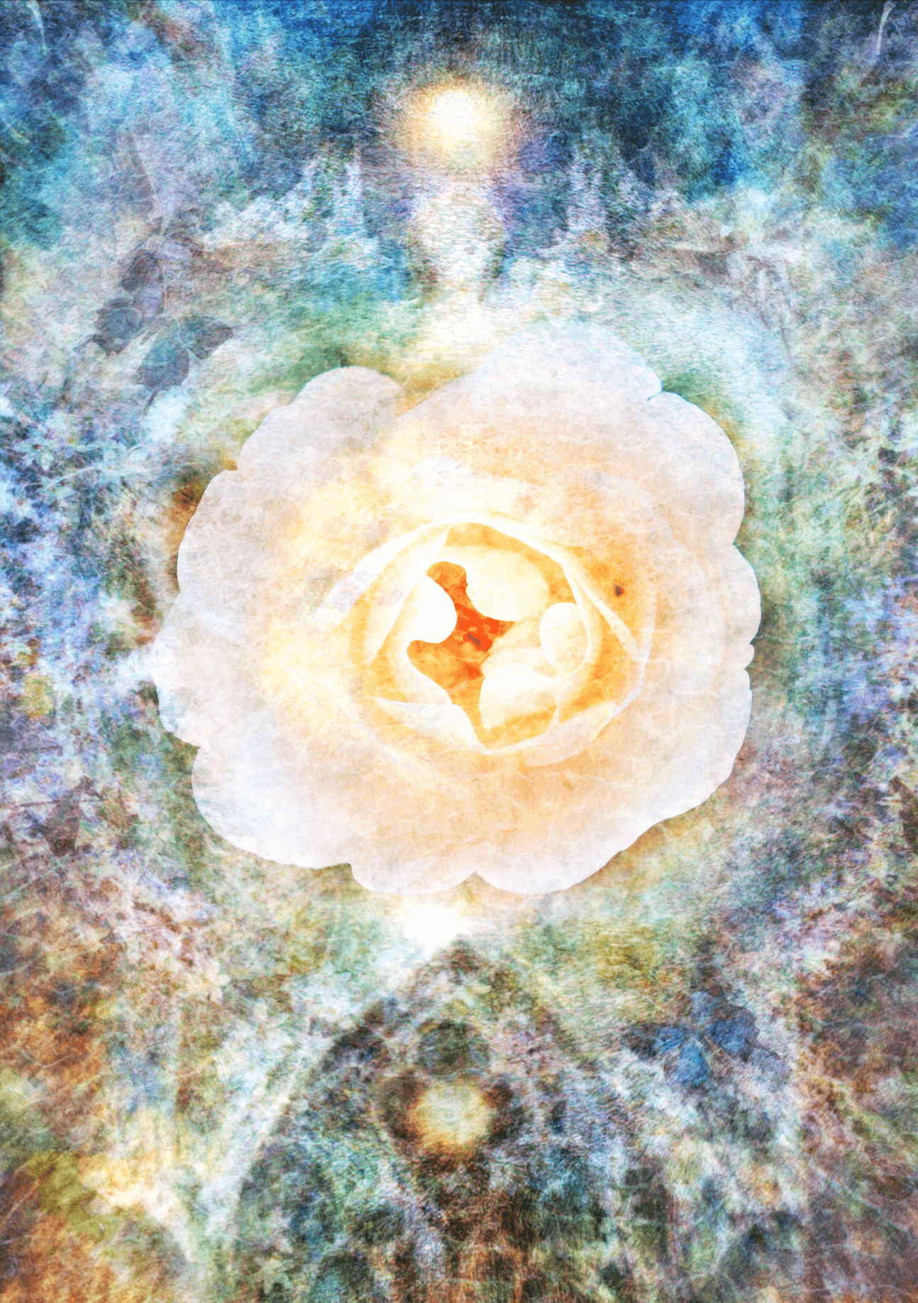 山中恵子展 「巡り巡る命の記憶」 - PHOTOPRI【写真展・美術展品質のプリントサービス】