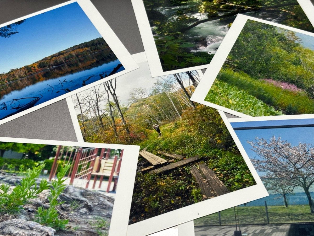 イチセヒロエ個展「植生 〜自然と生きる〜」 - PHOTOPRI【写真展・美術展品質のプリントサービス】