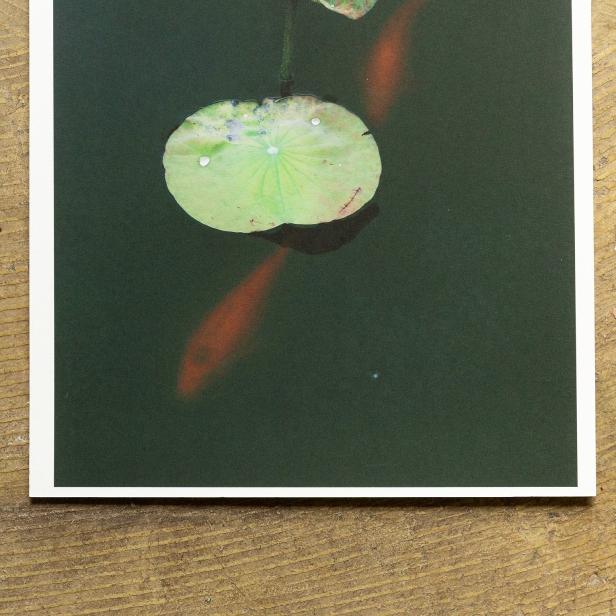 【阿波和紙】竹和紙 170g - PHOTOPRI【写真展・美術展品質のプリントサービス】 写真やイラスト・NFTアートの印刷を個展(写真展・美術展)向けにリーズナブルにジクレー印刷をするなら”PHOTOPRI”(フォトプリ)で。写真やイラスト・デジタルアートの印刷・額装・キャンバスパネルを個展・写真展向けにリーズナブルに印刷!8000円以上で送料無料中!PC・スマホどちらでもネットで注文OK!作品レベルの高品質