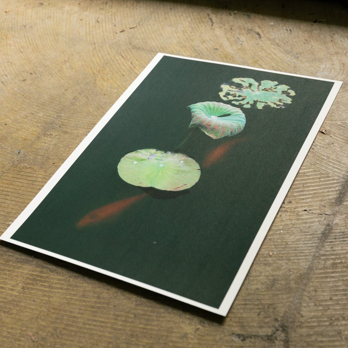 【阿波和紙】竹和紙 170g - PHOTOPRI【写真展・美術展品質のプリントサービス】 写真やイラスト・NFTアートの印刷を個展(写真展・美術展)向けにリーズナブルにジクレー印刷をするなら”PHOTOPRI”(フォトプリ)で。写真やイラスト・デジタルアートの印刷・額装・キャンバスパネルを個展・写真展向けにリーズナブルに印刷!8000円以上で送料無料中!PC・スマホどちらでもネットで注文OK!作品レベルの高品質