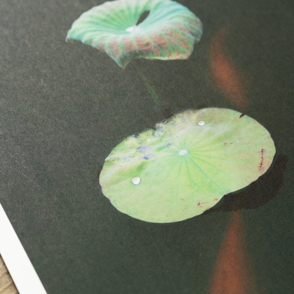 【阿波和紙】竹和紙 170g - PHOTOPRI【写真展・美術展品質のプリントサービス】 写真やイラスト・NFTアートの印刷を個展(写真展・美術展)向けにリーズナブルにジクレー印刷をするなら”PHOTOPRI”(フォトプリ)で。写真やイラスト・デジタルアートの印刷・額装・キャンバスパネルを個展・写真展向けにリーズナブルに印刷!8000円以上で送料無料中!PC・スマホどちらでもネットで注文OK!作品レベルの高品質