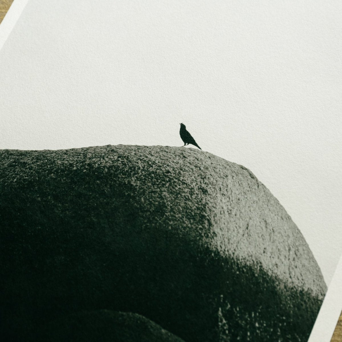 【阿波和紙】楮 厚口 生成 - PHOTOPRI【写真展・美術展品質のプリントサービス】 写真やイラスト・NFTアートの印刷を個展(写真展・美術展)向けにリーズナブルにジクレー印刷をするなら”PHOTOPRI”(フォトプリ)で。写真やイラスト・デジタルアートの印刷・額装・キャンバスパネルを個展・写真展向けにリーズナブルに印刷!8000円以上で送料無料中!PC・スマホどちらでもネットで注文OK!作品レベルの高品質