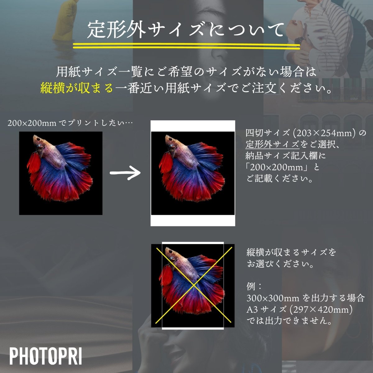 【阿波和紙】忌部 薄口 白 - PHOTOPRI【写真展・美術展品質のプリントサービス】 写真やイラスト・NFTアートの印刷を個展(写真展・美術展)向けにリーズナブルにジクレー印刷をするなら”PHOTOPRI”(フォトプリ)で。写真やイラスト・デジタルアートの印刷・額装・キャンバスパネルを個展・写真展向けにリーズナブルに印刷!8000円以上で送料無料中!PC・スマホどちらでもネットで注文OK!作品レベルの高品質