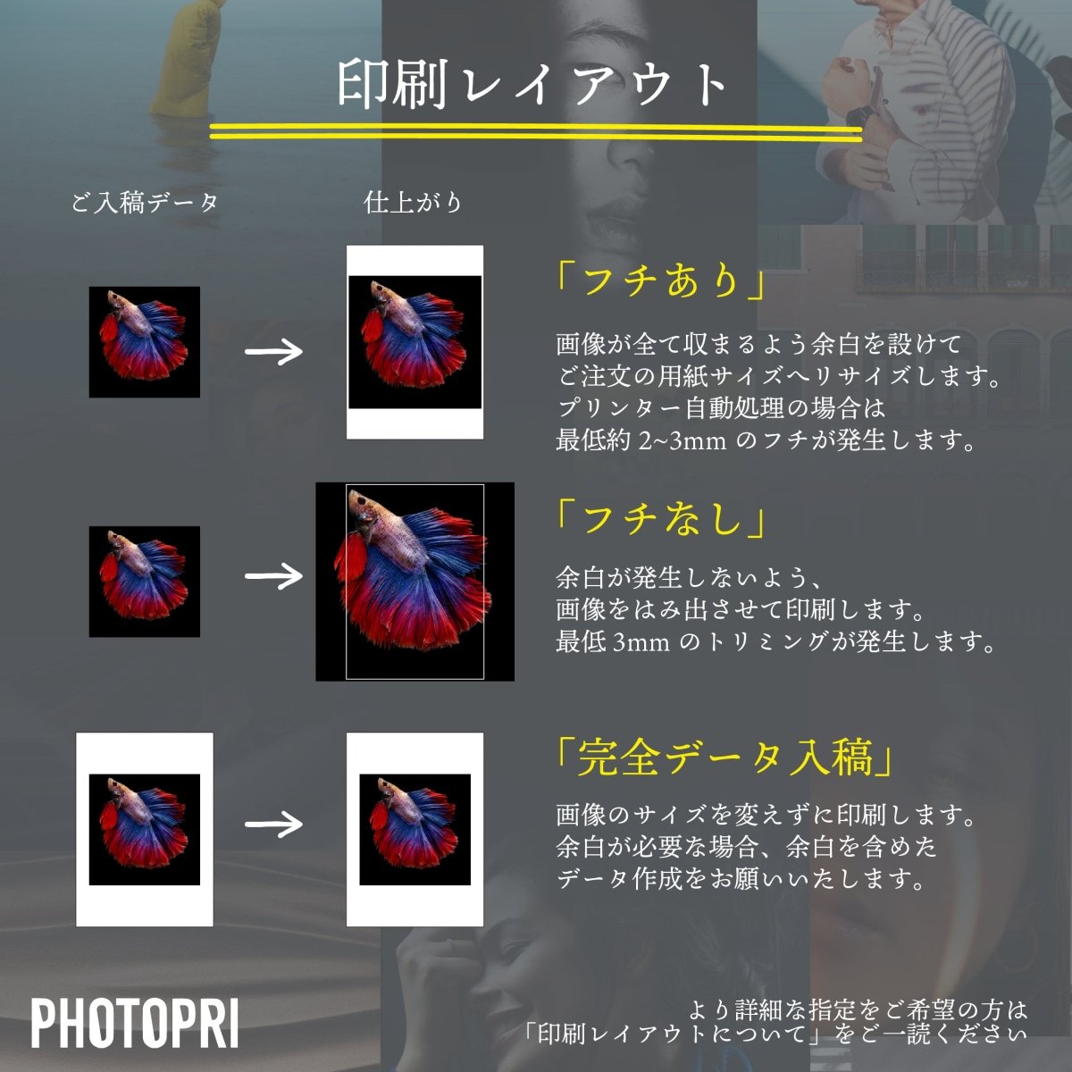 【阿波和紙】忌部 薄口 白 - PHOTOPRI【写真展・美術展品質のプリントサービス】 写真やイラスト・NFTアートの印刷を個展(写真展・美術展)向けにリーズナブルにジクレー印刷をするなら”PHOTOPRI”(フォトプリ)で。写真やイラスト・デジタルアートの印刷・額装・キャンバスパネルを個展・写真展向けにリーズナブルに印刷!8000円以上で送料無料中!PC・スマホどちらでもネットで注文OK!作品レベルの高品質