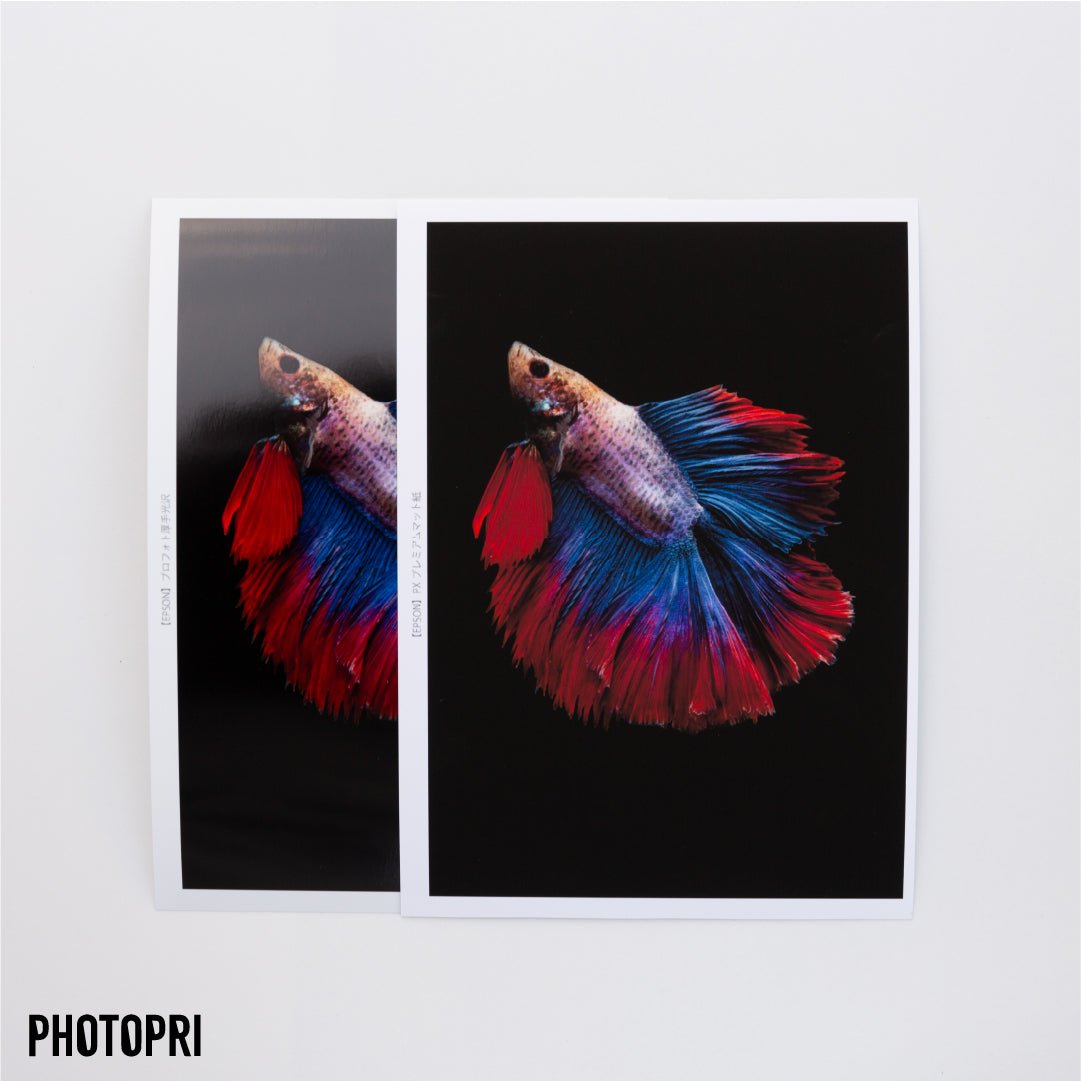 お試しプリント - PHOTOPRI【写真展・美術展品質のプリントサービス】 写真やイラスト・NFTアートの印刷を個展(写真展・美術展)向けにリーズナブルにジクレー印刷をするなら”PHOTOPRI”(フォトプリ)で。写真やイラスト・デジタルアートの印刷・額装・キャンバスパネルを個展・写真展向けにリーズナブルに印刷!8000円以上で送料無料中!PC・スマホどちらでもネットで注文OK!作品レベルの高品質