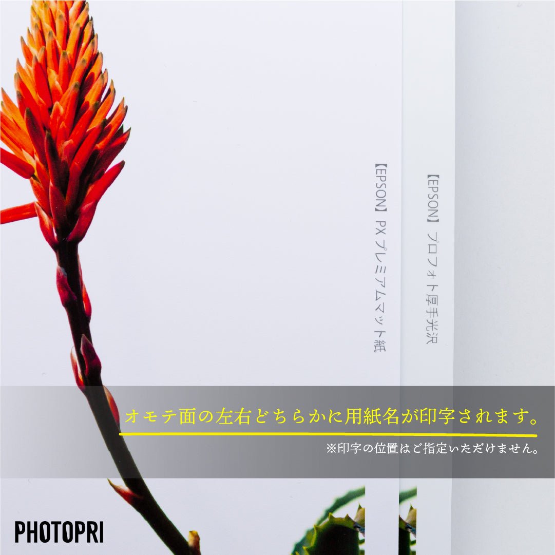 お試しプリント - PHOTOPRI【写真展・美術展品質のプリントサービス】 写真やイラスト・NFTアートの印刷を個展(写真展・美術展)向けにリーズナブルにジクレー印刷をするなら”PHOTOPRI”(フォトプリ)で。写真やイラスト・デジタルアートの印刷・額装・キャンバスパネルを個展・写真展向けにリーズナブルに印刷!8000円以上で送料無料中!PC・スマホどちらでもネットで注文OK!作品レベルの高品質