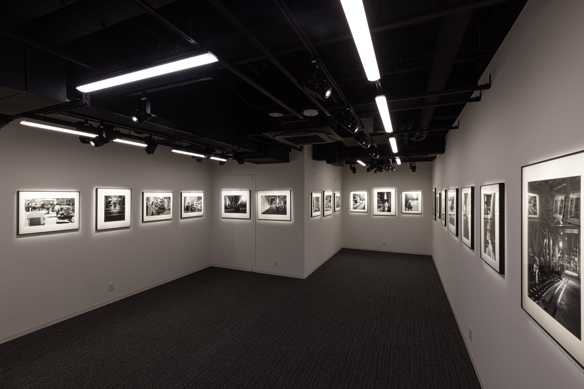ヒコヒコギャラリー - PHOTOPRI【写真展・美術展品質のプリントサービス】 写真やイラスト・NFTアートの印刷を個展(写真展・美術展)向けにリーズナブルにジクレー印刷をするなら”PHOTOPRI”(フォトプリ)で。写真やイラスト・デジタルアートの印刷を個展・写真展向けにリーズナブルに印刷!8000円以上で送料無料中!PC・スマホどちらでもネットで注文OK!作品レベルの高品質な写真プリント・ジークレ