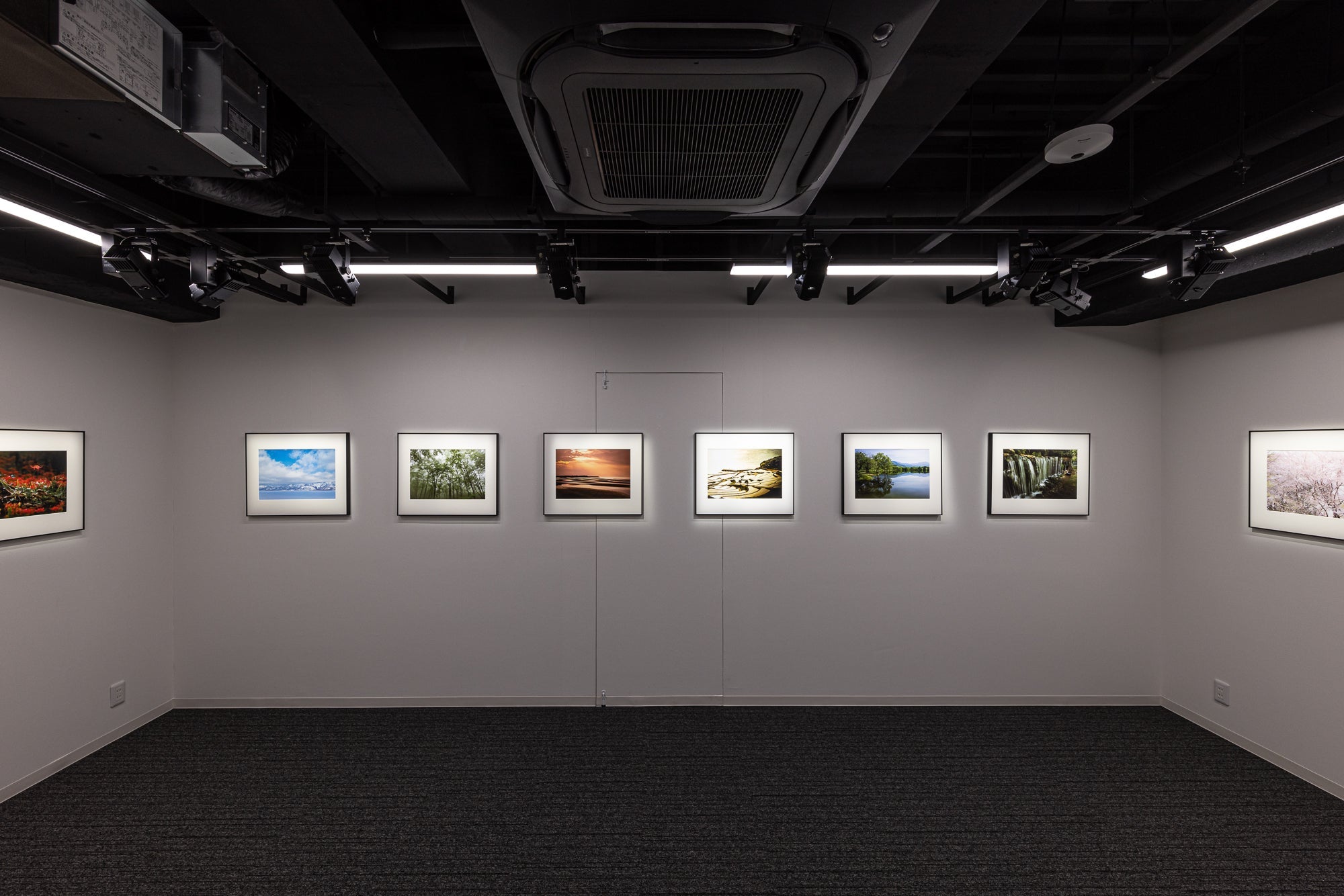 ヒコヒコギャラリー - PHOTOPRI【写真展・美術展品質のプリントサービス】 写真やイラスト・NFTアートの印刷を個展(写真展・美術展)向けにリーズナブルにジクレー印刷をするなら”PHOTOPRI”(フォトプリ)で。写真やイラスト・デジタルアートの印刷を個展・写真展向けにリーズナブルに印刷!8000円以上で送料無料中!PC・スマホどちらでもネットで注文OK!作品レベルの高品質な写真プリント・ジークレ