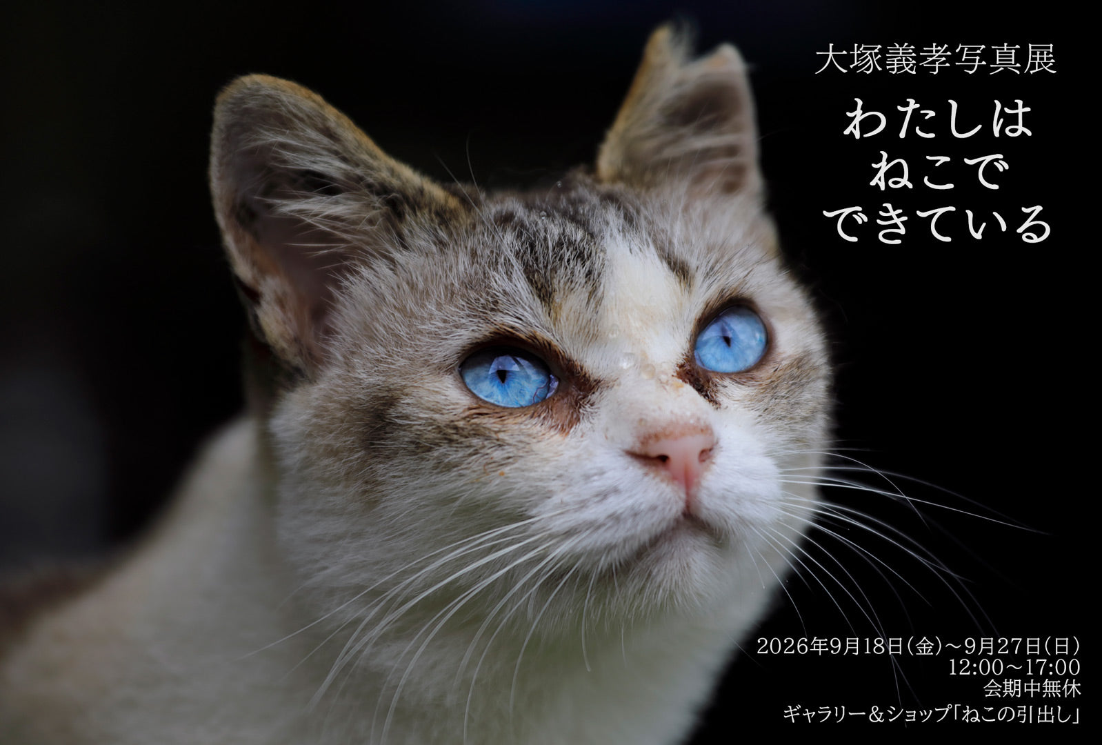大塚 義孝様　写真展「わたしは ねこで できている」