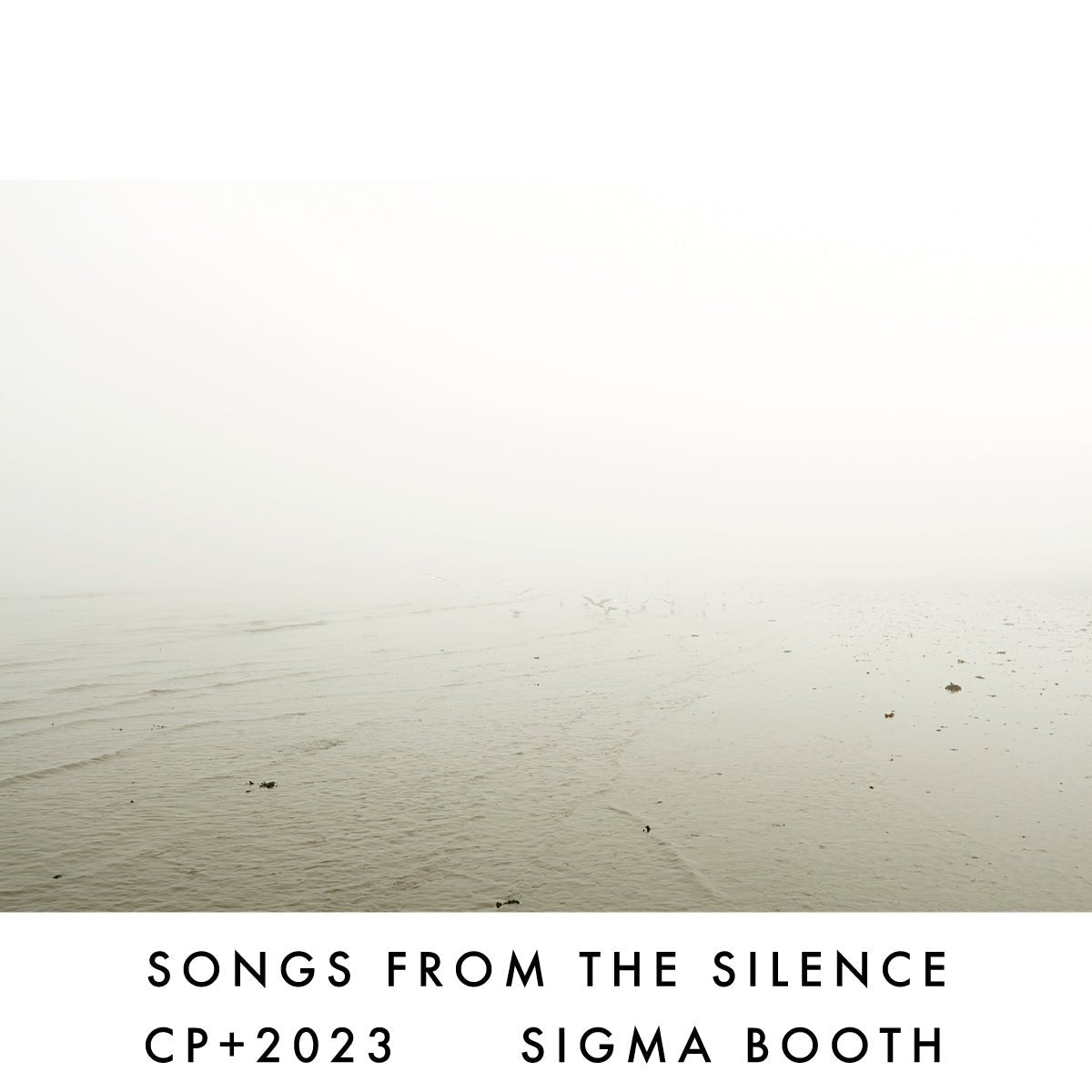 CP+ SIGMAブース SONGS FROM THE　SILENCE - PHOTOPRI【写真展・美術展品質のプリントサービス】
