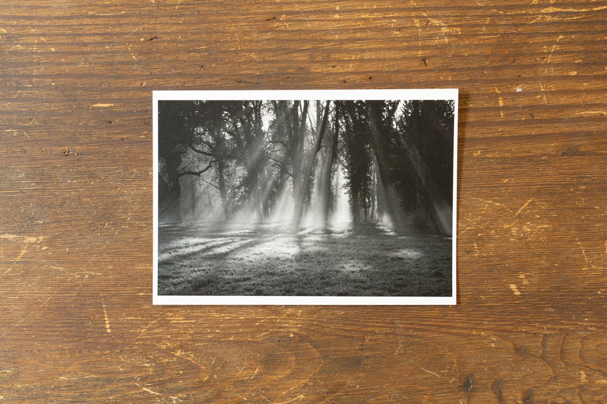 息をのむ表現力。和紙への写真プリントがアート作品にもたらす唯一無二の価値 - PHOTOPRI【写真展・美術展品質のプリントサービス】