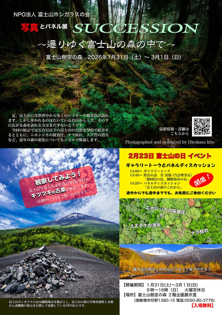【写真とパネル展】Succession ― 遷りゆく富士山の森の中で ― - PHOTOPRI【写真展・美術展品質のプリントサービス】