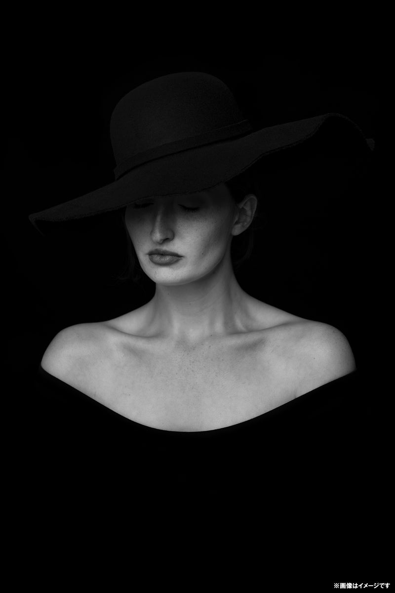 [ILFORD] Mono Silk Warmtone 